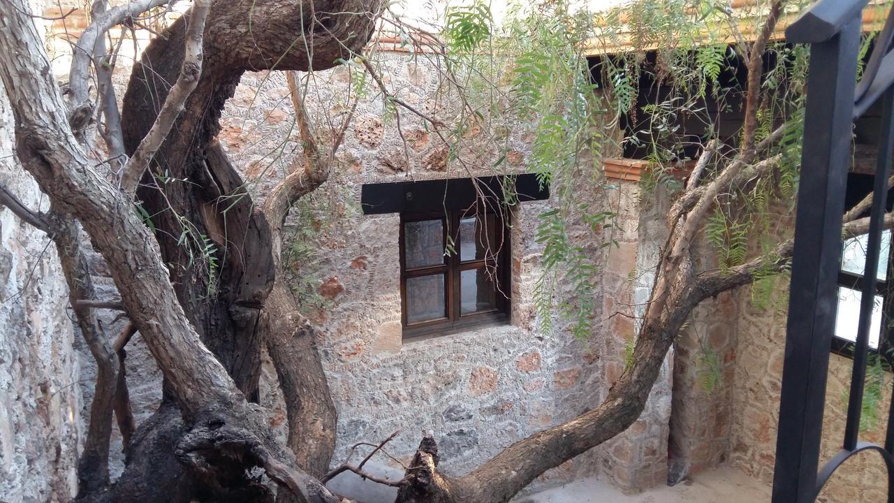 Hacienda Tovares กาเดเรย์ตาเดมอนเตส ภายนอก รูปภาพ