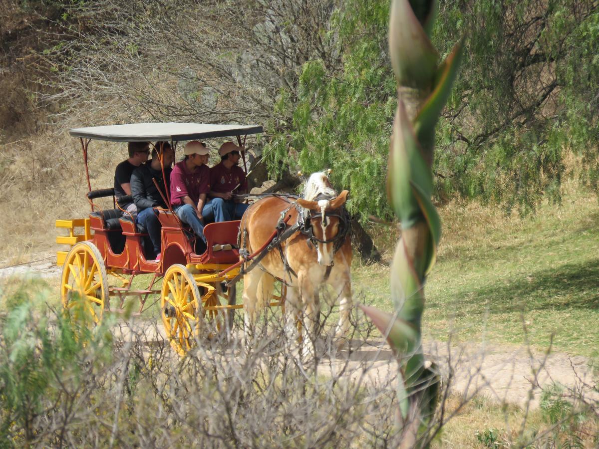 Hacienda Tovares กาเดเรย์ตาเดมอนเตส ภายนอก รูปภาพ